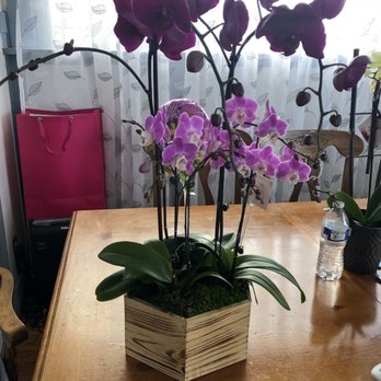 Lee's Orchids - Florists Near Me - Los Angeles, California
