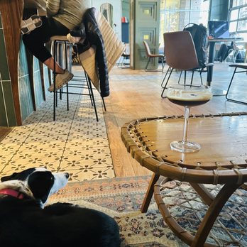 Hello Darling - Puppies and cocktails - Coffee & Tea Near Me - Denver, Colorado