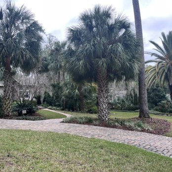 Arbor Conscious Tree Service - Happy trees! - Tree Services Near Me