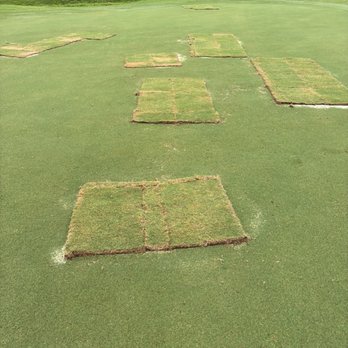 Marcus Pointe Golf Club - Golf Near Me - Pensacola, Florida
