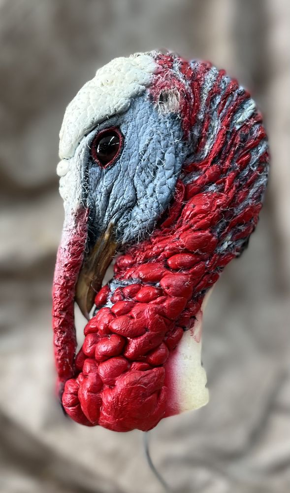 Rob’s Taxidermy - taxidermy in Heath, OH