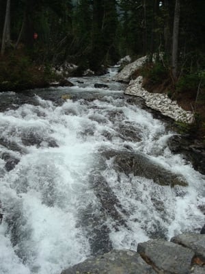 Mount Rainier by null