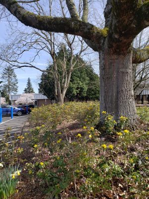 Mt. Hood Community College by null