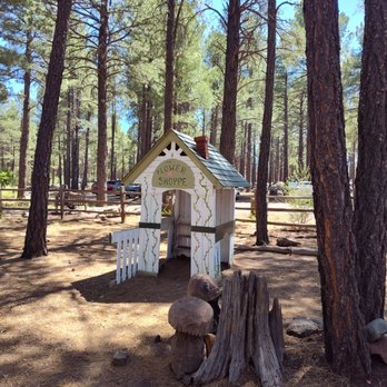 The Arboretum at Flagstaff - Kid's area flower shoppe - Parks Near Me - Flagstaff, Arizona