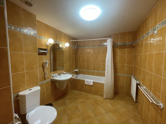 Hotel Dvořák by null