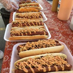 The Houston Weenie Wagon - An assortment of our dogs
