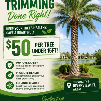 Shayde Trees - Tree Services Near Me - Riverview, Florida Shayde Trees - Tree Services Near Me - Riverview, Florida