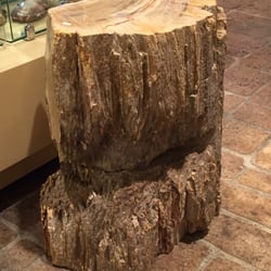 Artisan Jewelers Gemstone and Mineral Gallery - Petrified wood
