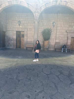 Catedral de Morelia by null