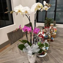 Phuong Nam Plants - This arrangement was $45 through DoorDash. Absolutely beautiful.