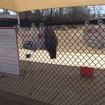 Virginia Lake Park - People leave plastic bags - Playgrounds Near Me - Reno, Nevada Virginia Lake Park - People leave plastic bags - Playgrounds Near Me - Reno, Nevada