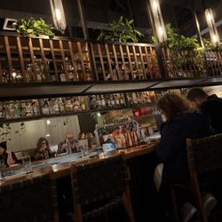 Ukiah - Main bar