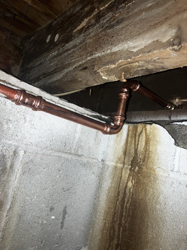 Slide of Silver Plumbing