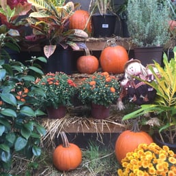 Cute autumn decorations! Cute autumn decorations!