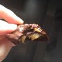 Photo of Williams Chocolate