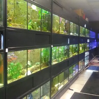 Worldwide Fish and Pets - Local Fish Stores Near Me - New Haven, Connecticut Worldwide Fish and Pets - Local Fish Stores Near Me - New Haven, Connecticut