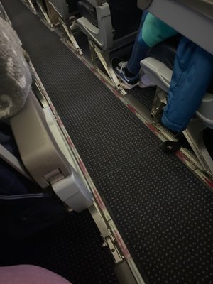 American Airlines by null