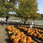 Photo of Berlin Orchards