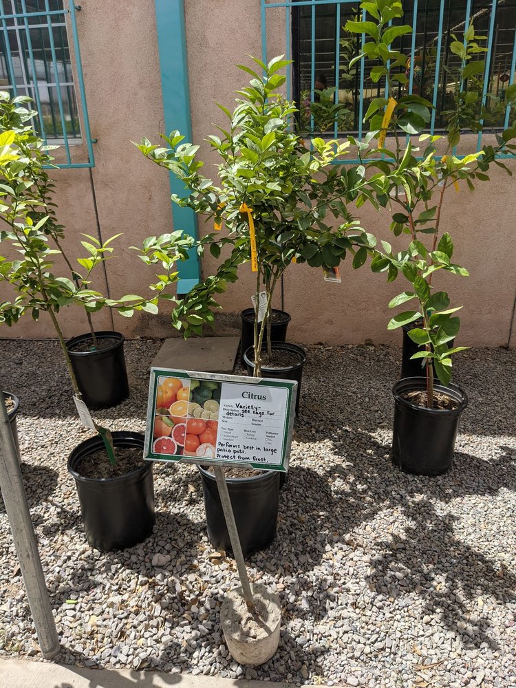 SIERRA VISTA GROWERS Updated October 2024 64 Photos & 24 Reviews