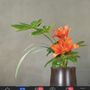 Photo of Manuia Home Cleaning Services