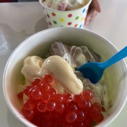 Avalanche Frozen Yogurt - "The Indecisive" creation.