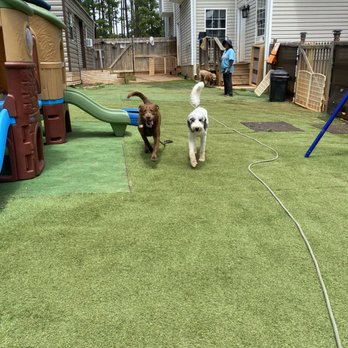 Hotel Eubarks - Pet Boarding Near Me - Carrollton, Georgia