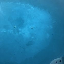 ASP - America's Swimming Pool Company of Central Maryland - discoloration of "new" plaster