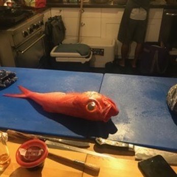 Ed Soliven - Lovely snapper about to be broken down and consumed! - Personal Chefs Near Me