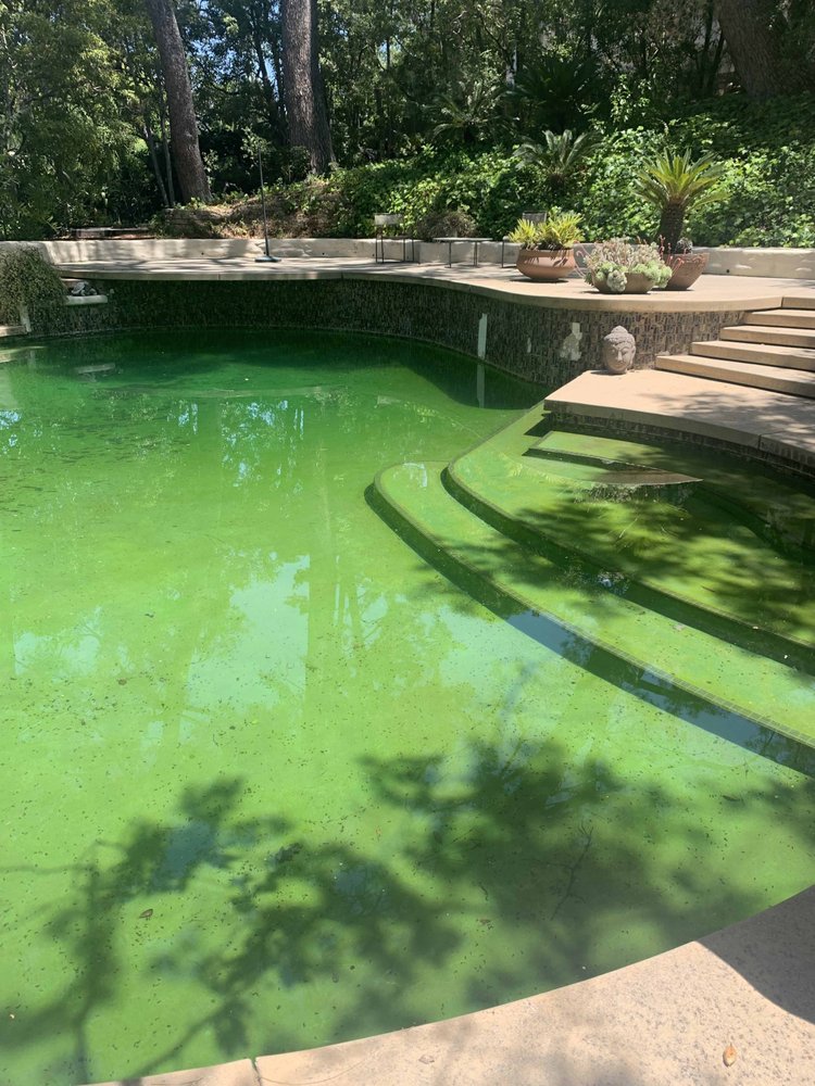 RC CUSTOM POOL & SPA SERVICE Updated April 2024 20 Reviews 5632