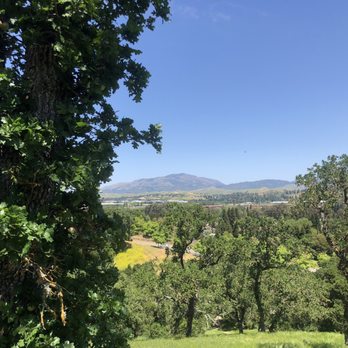 Bishop Ranch Regional Preserve - Hiking Near Me