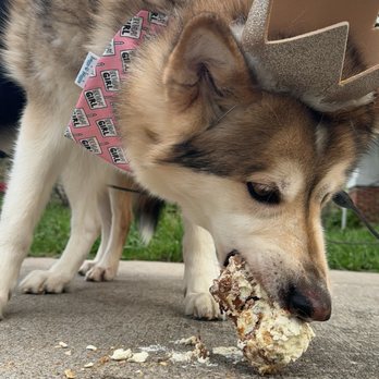 Three Dog Bakery - Rice Village - Pet Stores Near Me - Houston, Texas Three Dog Bakery - Rice Village - Pet Stores Near Me - Houston, Texas