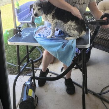 Katie’s Cuties - Pet Groomers Near Me - Mission Viejo, California