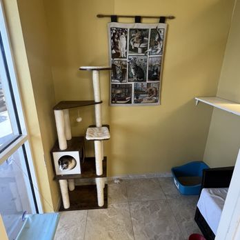 My Cat Nap Cottage - Pet Boarding Near Me - Punta Gorda, Florida My Cat Nap Cottage - Pet Boarding Near Me - Punta Gorda, Florida