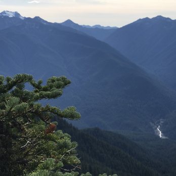 Hurricane Ridge - Parks Near Me - Port Angeles, Washington Hurricane Ridge - Parks Near Me - Port Angeles, Washington