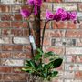 Photo of Cugini Florists & Fine Gifts