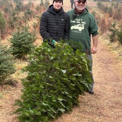 Ruff's Christmas Trees