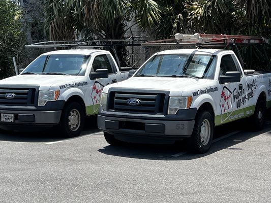 Tribeca Roofing Enterprise Logo