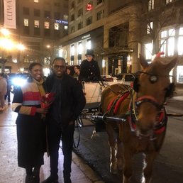 Antique Horse And Carriage