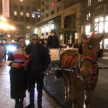 Antique Coach & Carriage - Antique Horse And Carriage - Tours Near Me