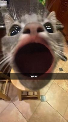 Campus Middle School