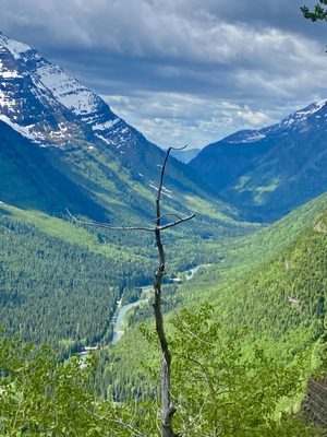 Glacier Guides and Montana Raft by null