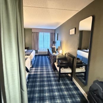 Graduate by Hilton Storrs - My room - Hotels Near Me - Storrs, Connecticut
