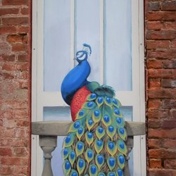 Historic Depot District Murals - E St & Ft Wayne - Peacock by Pamela Bliss