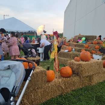 Dania After Dark - Festivals Near Me - Dania Beach, Florida