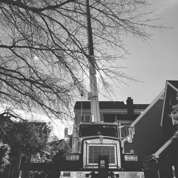 Sox & Freeman Tree Expert - Tree Services Near Me - Columbia, South Carolina Sox & Freeman Tree Expert - Tree Services Near Me - Columbia, South Carolina