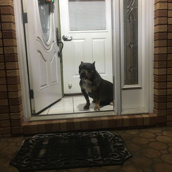 Frank's Perfect Paws - Pet Groomers Near Me