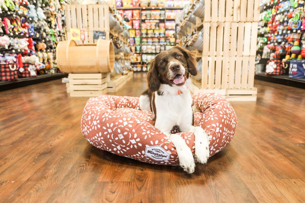 HOLLYWOOD FEED Updated August 2024 37 Photos & 34 Reviews 5600