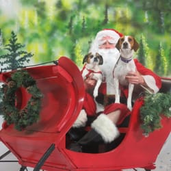 Pequannock Feed & Pet Supply
