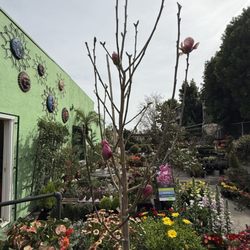 Mike's Nursery