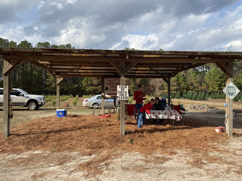 TRUITTS CHRISTMAS TREE FARM Updated June 2024 1305 Hodgeville Rd